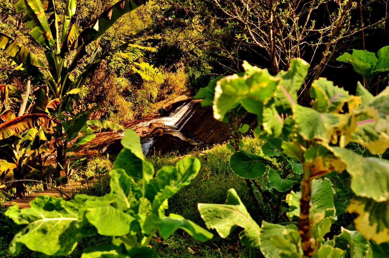 Pousada Sitio Portal Da Travessia Visconde De Maua Esterno foto